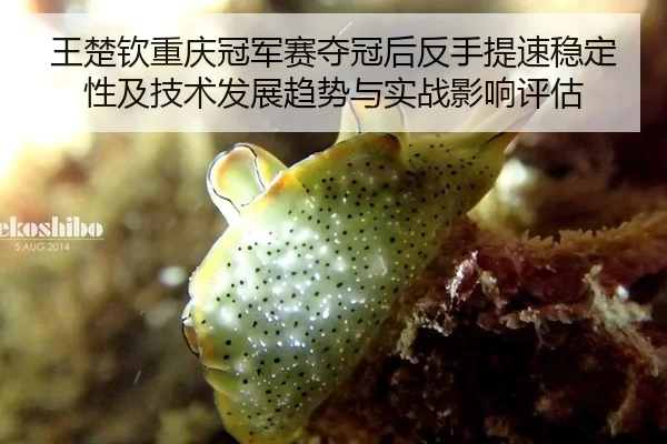 王楚钦重庆冠军赛夺冠后反手提速稳定性及技术发展趋势与实战影响评估